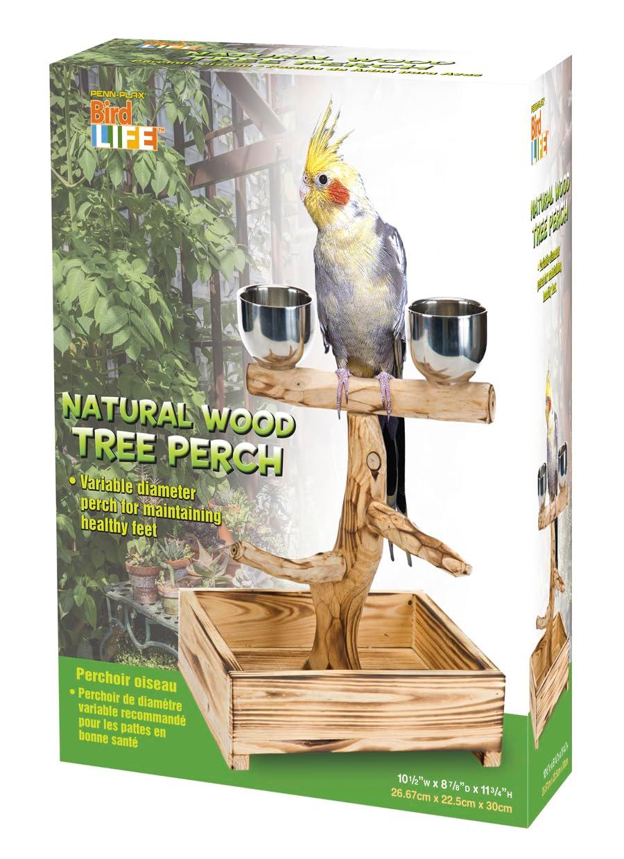 Penn-Plax Bird-Life Natural Wood Tree Perch for Small and Medium Birds, Brown