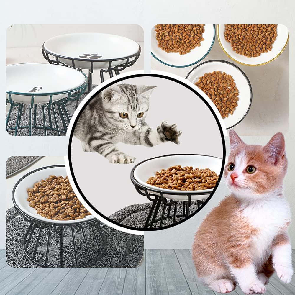 Cat Bowls, Elevated Cat Bowl, Raised Ceramic Dish with Metal Stand, Pet Water or Food Feeding Station for Indoor Cats, Kitten, Puppies and Small Dogs, Dishwasher Safe