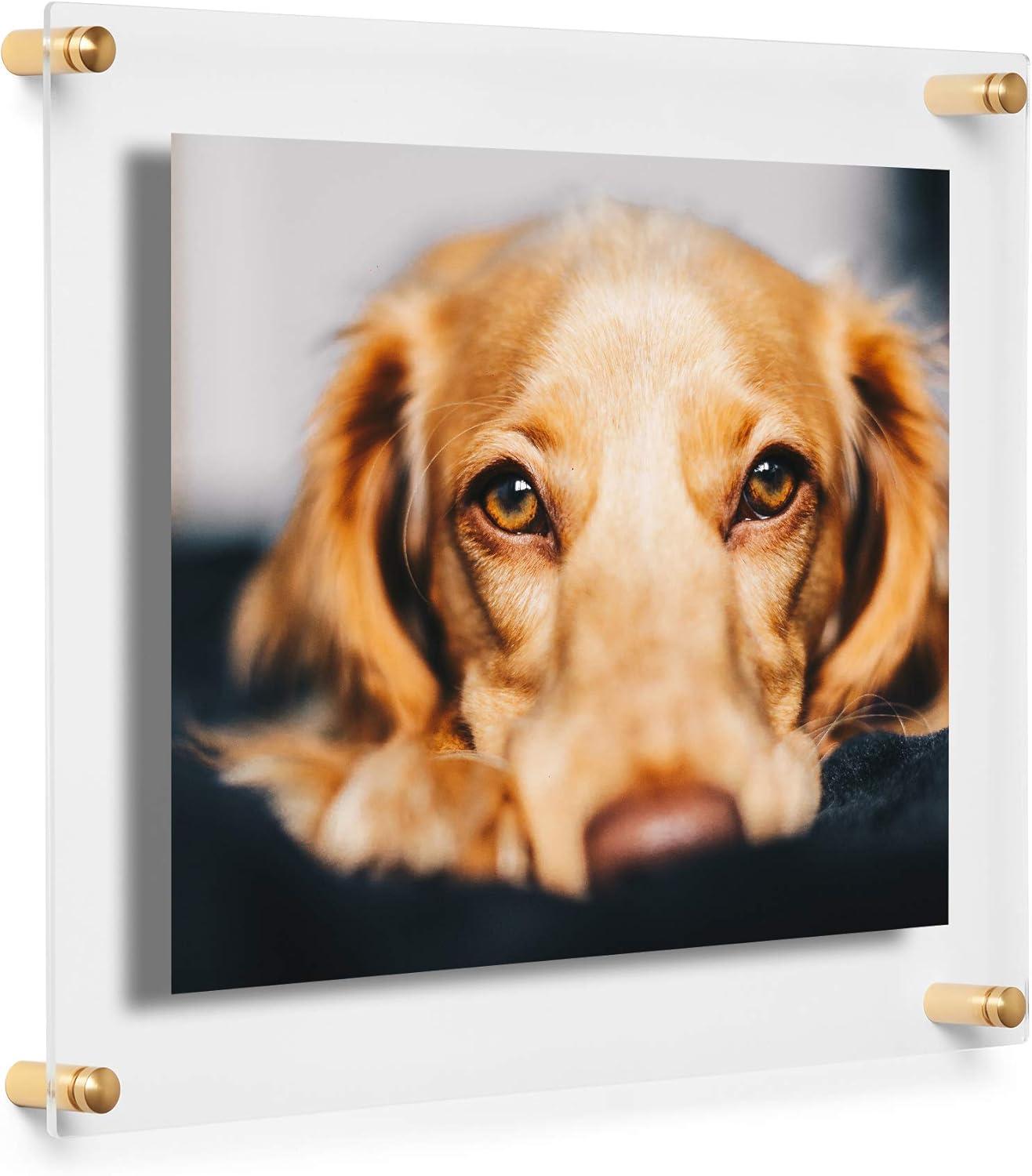 12" x 15" Gold Acrylic Floating Wall Frame