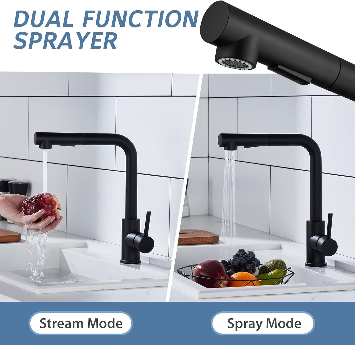 Matte Black Stainless Steel Pull-Out Spray Kitchen Faucet