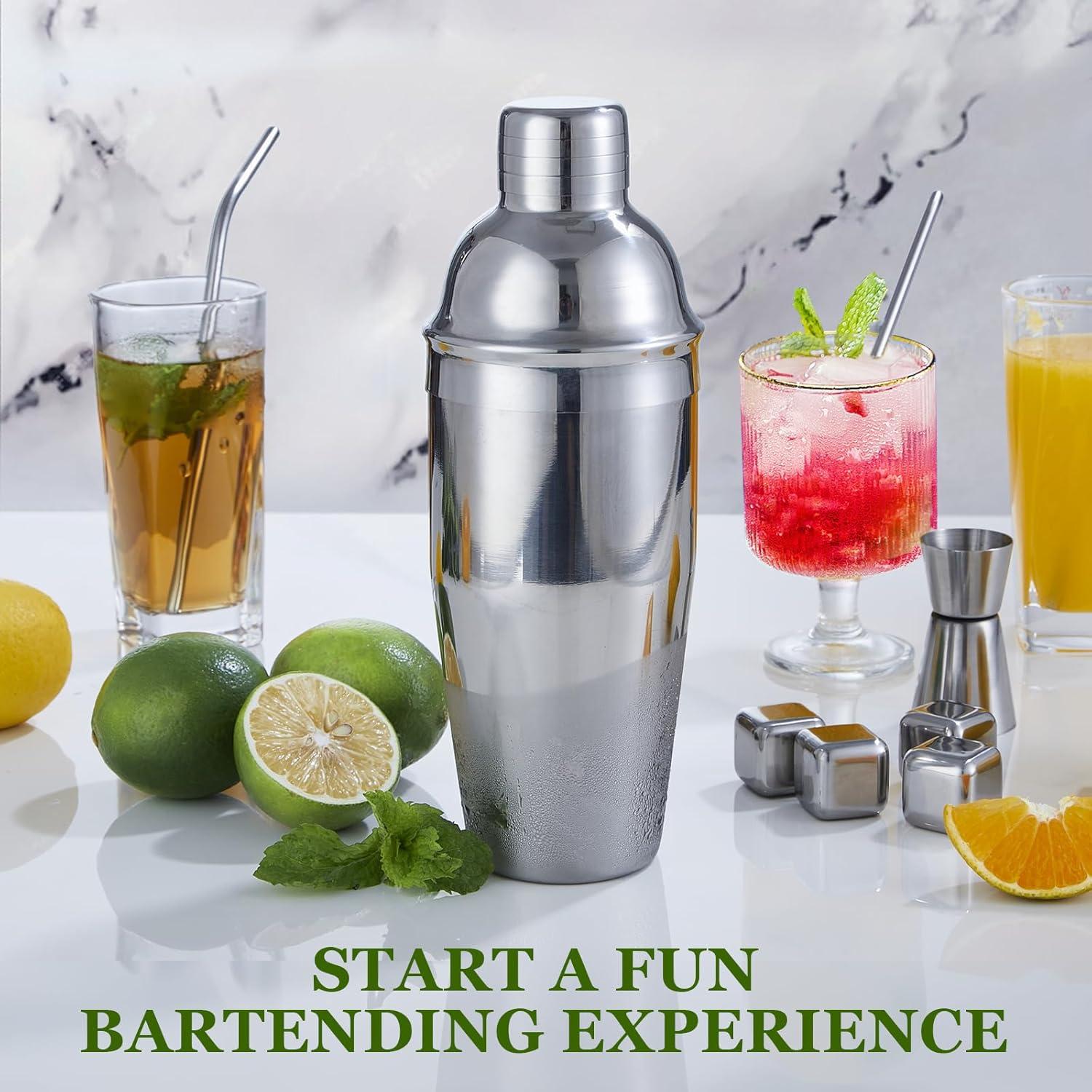 JMDLWZ Cocktail Shaker Set, 23 Pieces 750ml Professional Stainless Steel Cocktail Shaker with Boston Shaker, Strainer, Measuring Cup, Mixing Spoon, Recipes, Great Gift Kit