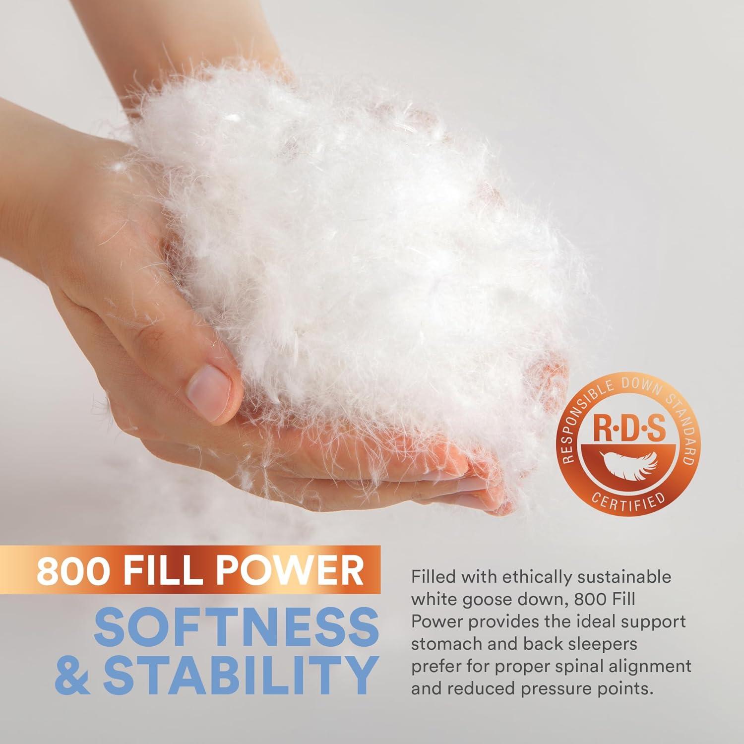 Continental Bedding Siberian 800FP 100% Goose Down Pillow Soft Support King Size Pack of 1