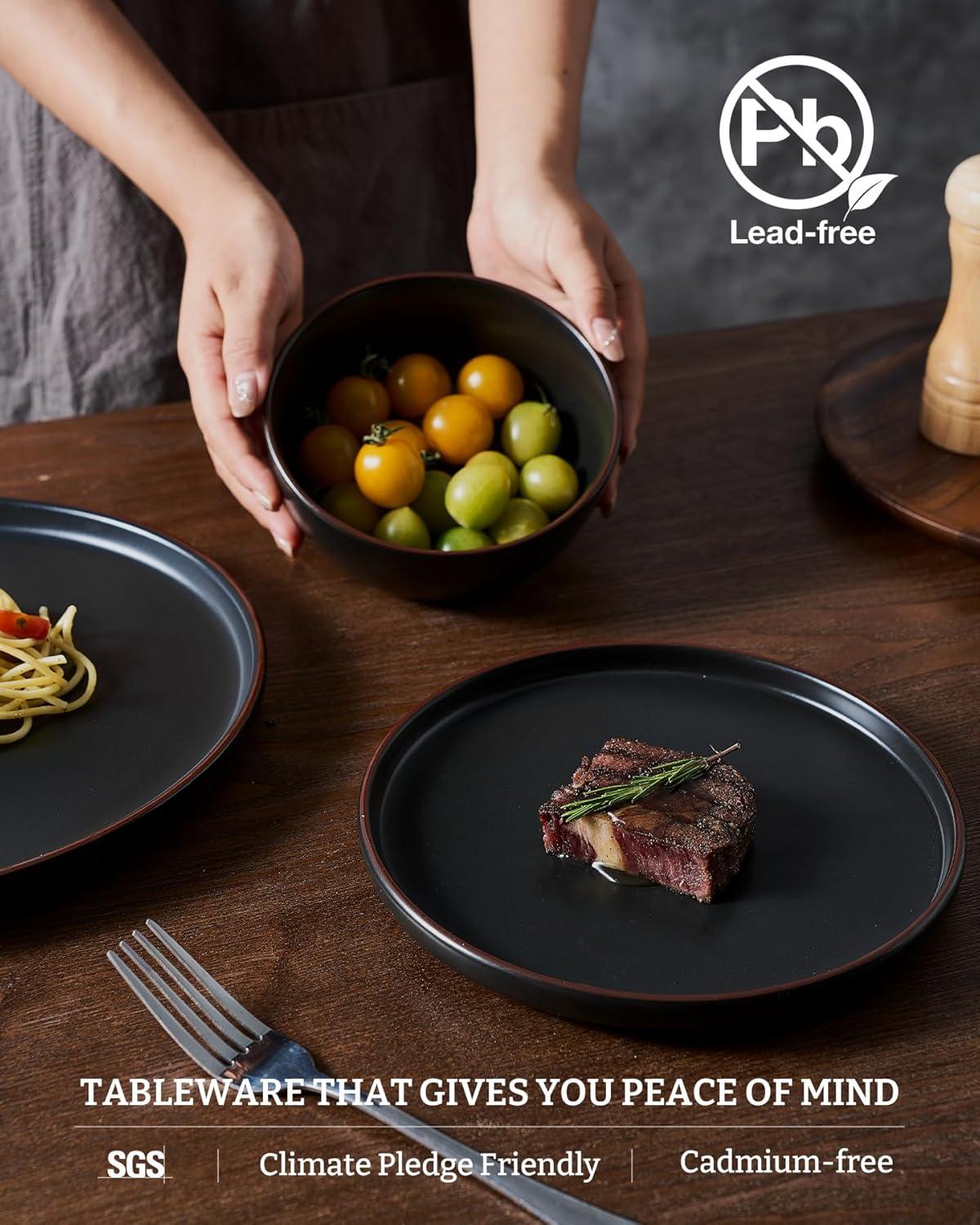 12 Pieces Stoneware Dinnerware Sets, Dishes Set for 4, Microwave and Dishwasher Safe