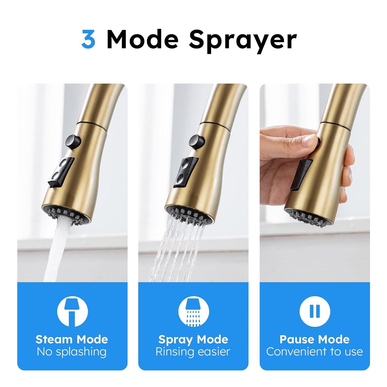 GAGALIFE Single Handle Pull Down Sprayer Kitchen Faucet High Arc Stainless Steel Faucet with 3-Function Sprayer JJL-CL-PT-SDP-C