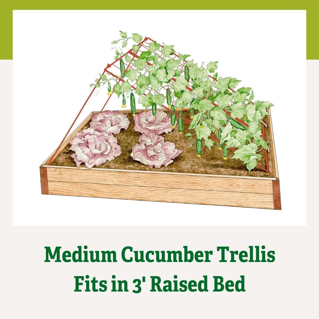 Gardener's Supply Company Cucumber Trellis | Garden Bed Support for Cucumbers & Climbing Plants | Outdoor Plant Support w/ 4" Grids for Easy Harvesting | 32" x 48" - Medium (Red)