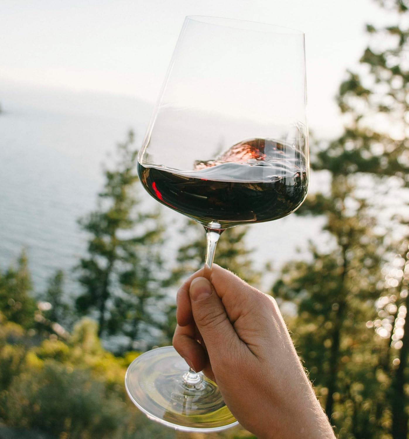 Zalto Denkart Bordeaux Red Wine Glass