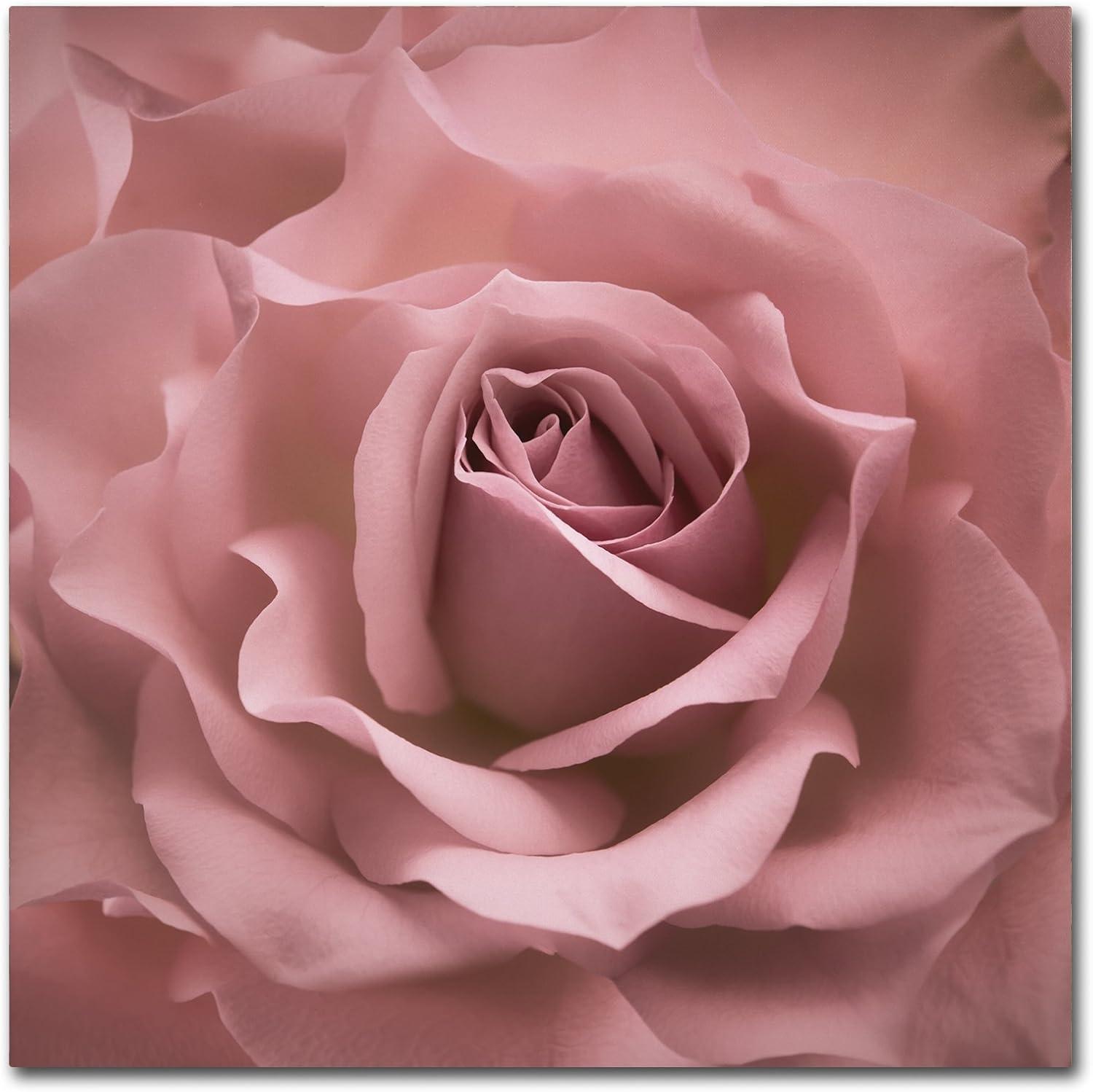 House of Hampton® " Misty Rose Pink Rose " by Cora Niele