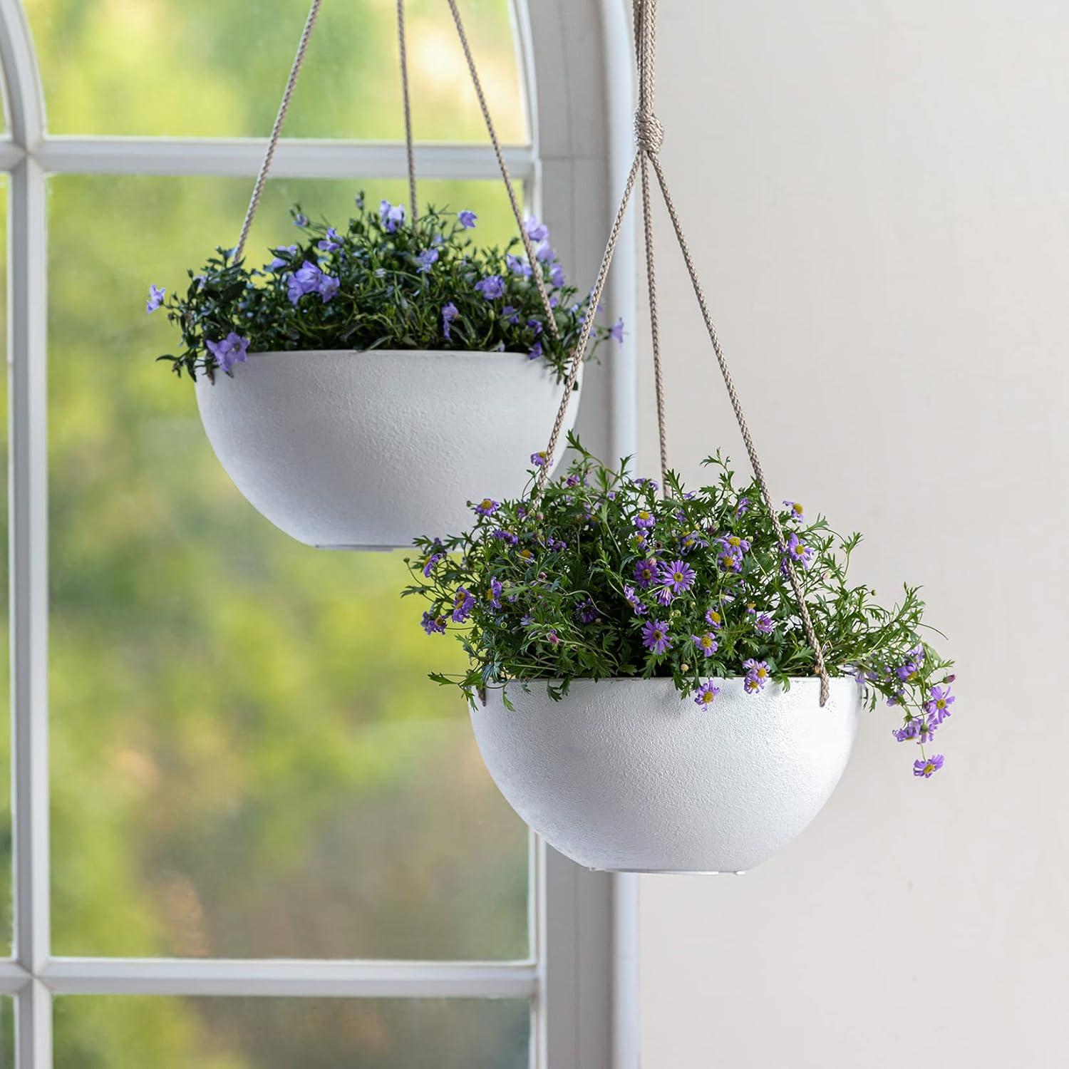 Boxdale Hanging Planter - Set of 2 (Set of 2)