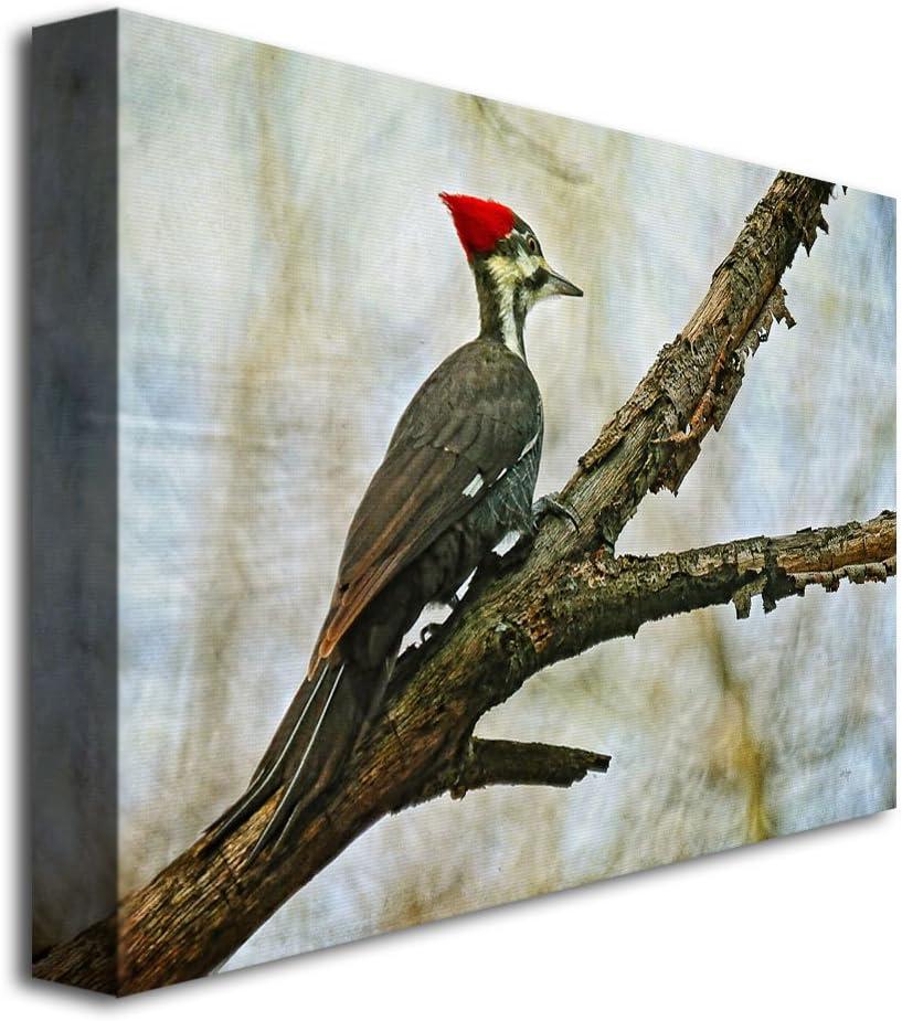 Trademark Fine Art 'Woodpecker II' by Lois Bryan Photographic Print on Canvas | Wayfair