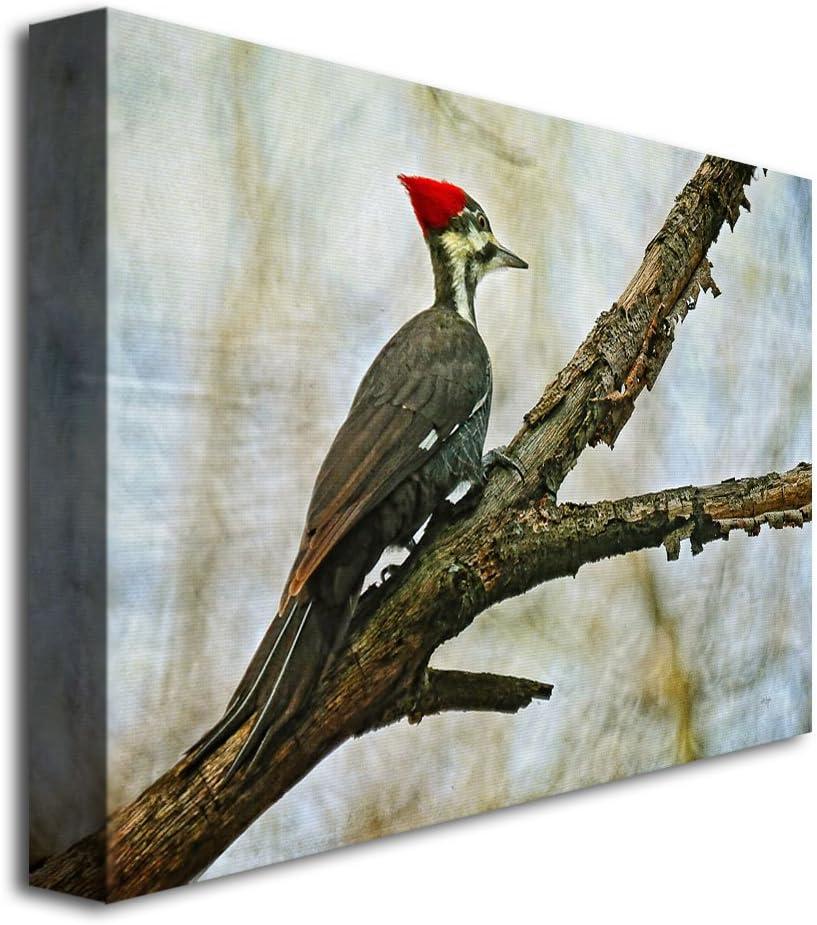 " Woodpecker II " by Lois Bryan