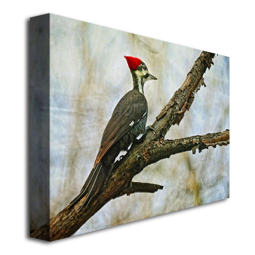 Trademark Fine Art 'Woodpecker II' by Lois Bryan Photographic Print on Canvas | Wayfair