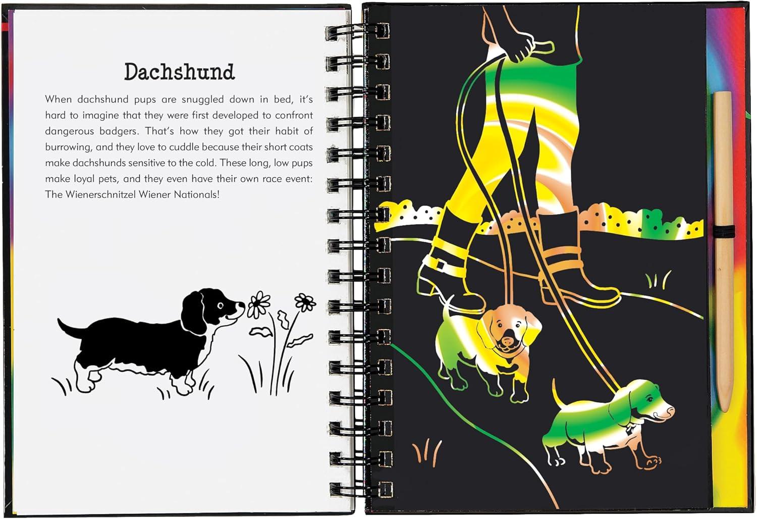 Rainbow Swirl and Glittery Foil Puppy Interactive Art Book