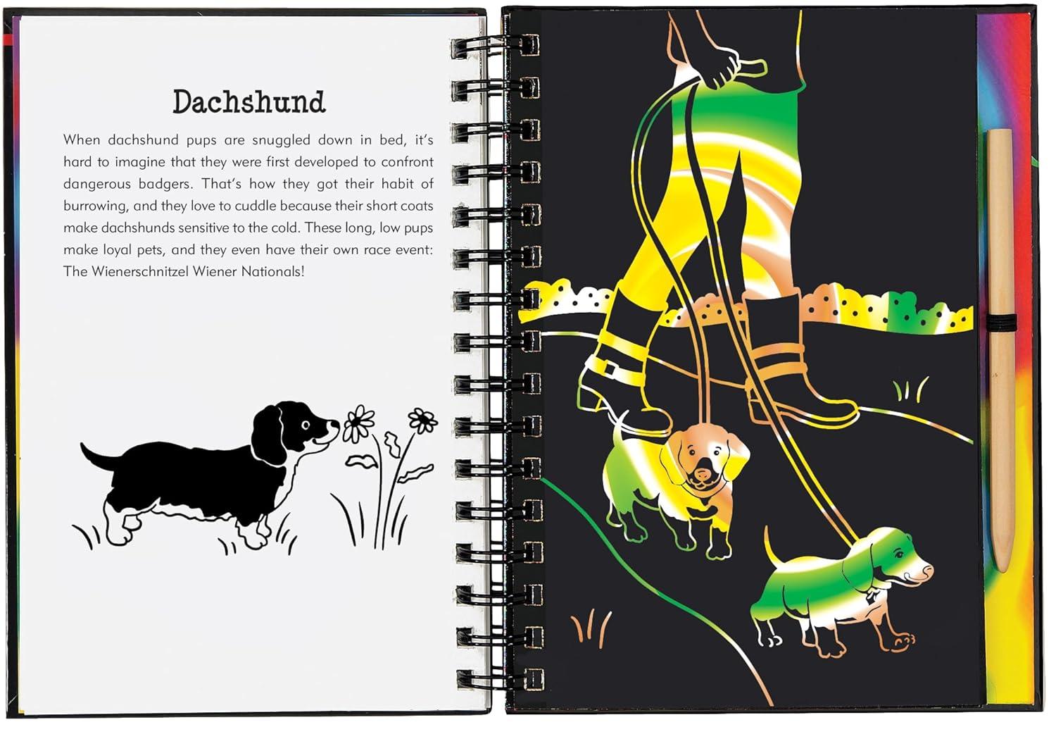 Rainbow Swirl and Glittery Foil Puppy Interactive Art Book
