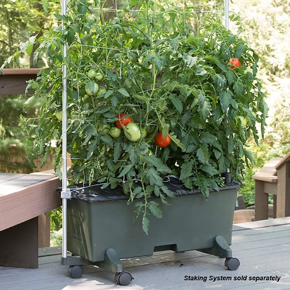 Novelty EarthBox Beginner Friendly, Self-Watering Growing System Garden Kit, Natural, Dark Green