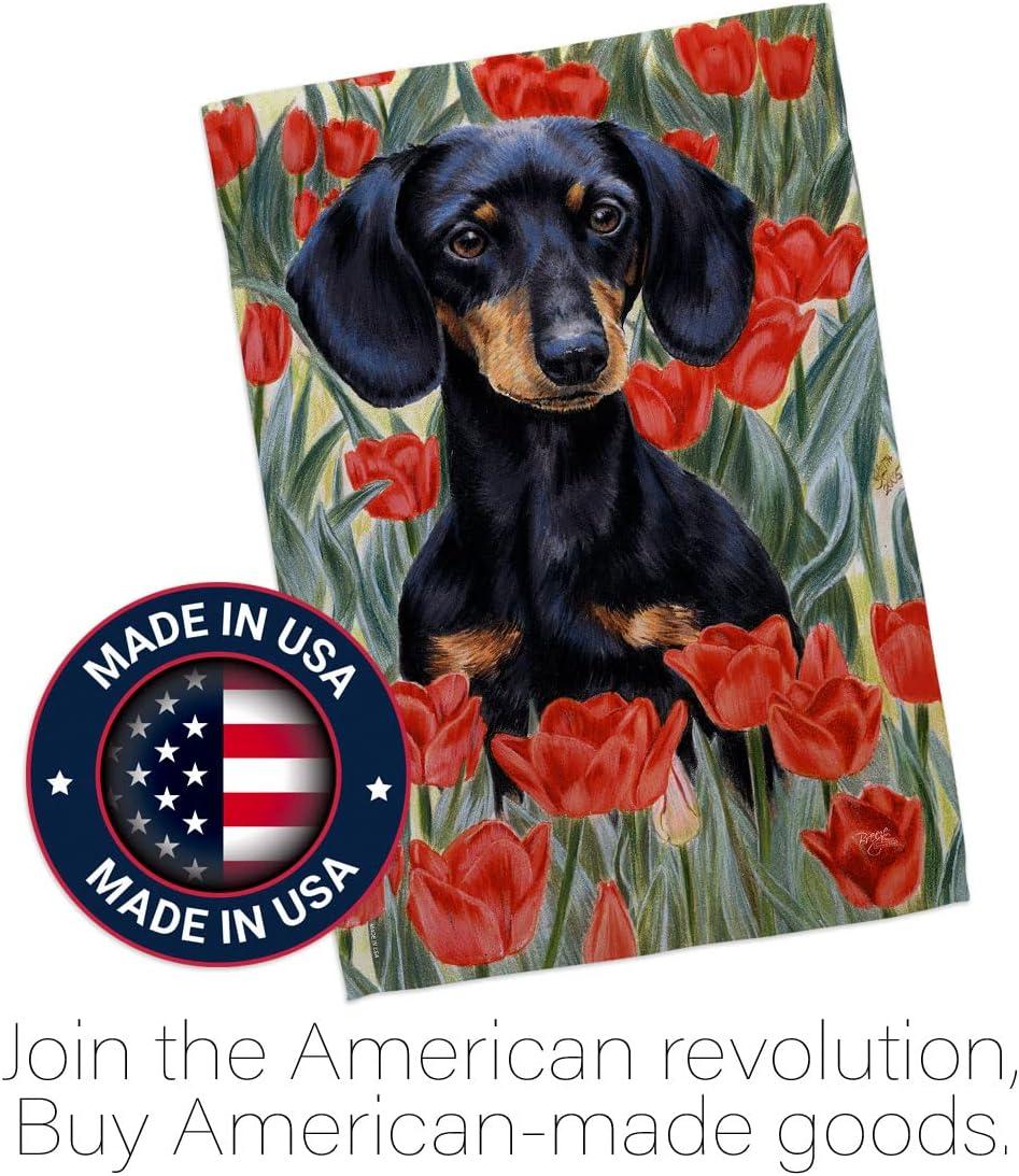 Breeze Decor Double Sided 40.00'' H x 28.00'' W Polyester Flag Set