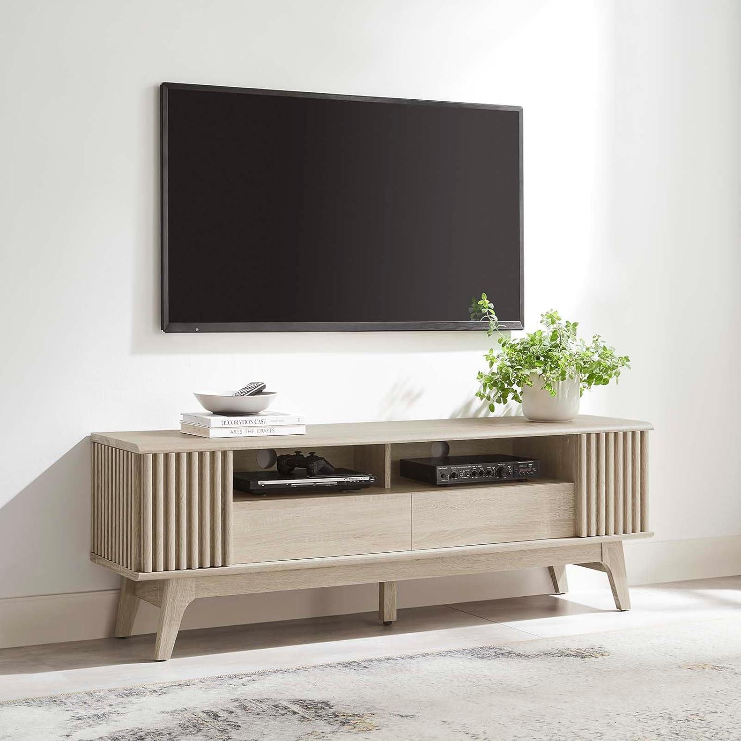 Eudora 60'' Light Oak Modern TV Stand with Cabinet