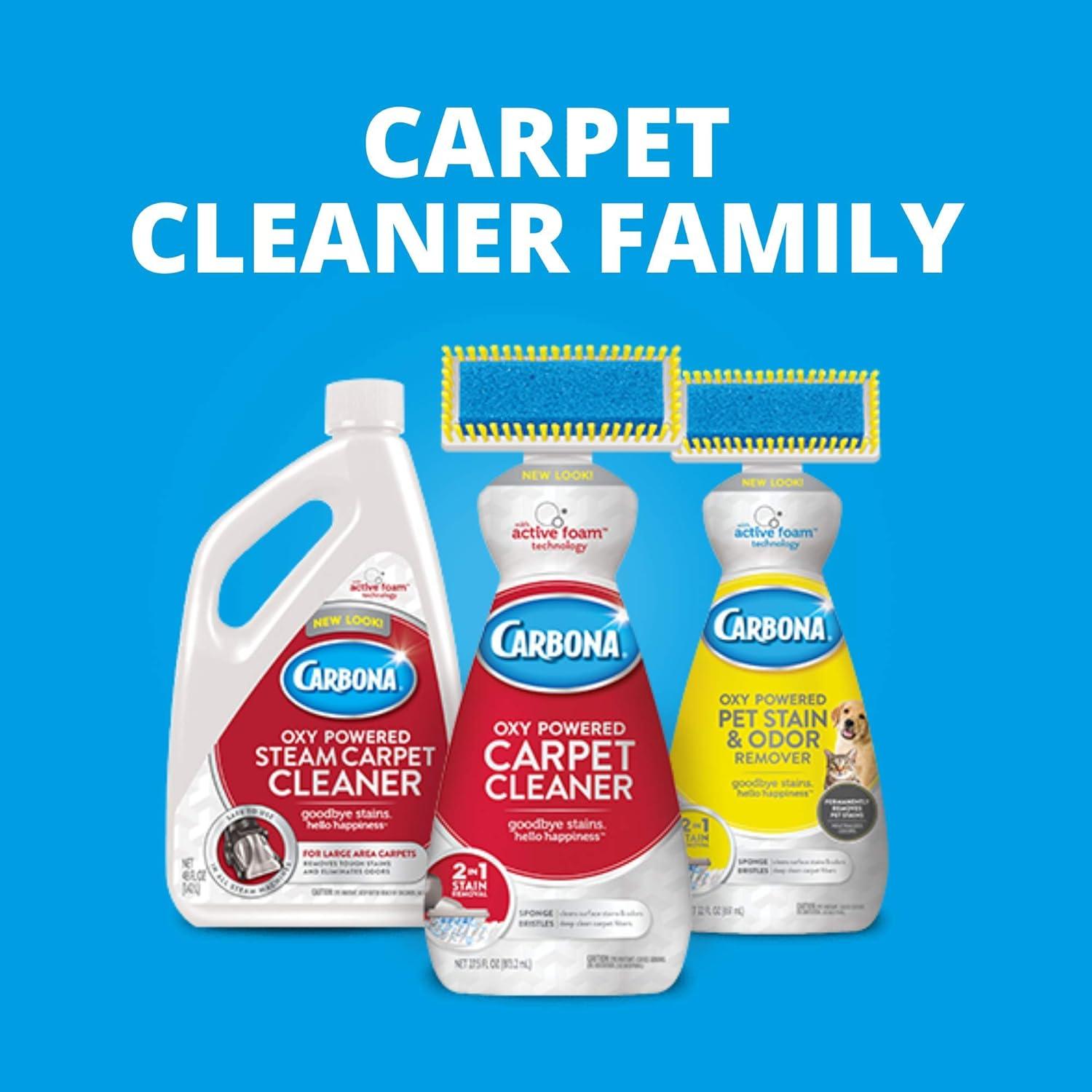 Carbona Oxy Powered Pet Stain & Odor Remover, Unscented, 22 fl oz Bottle