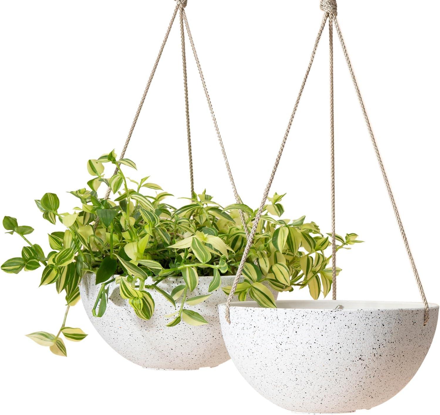 Boxdale Hanging Planter - Set of 2