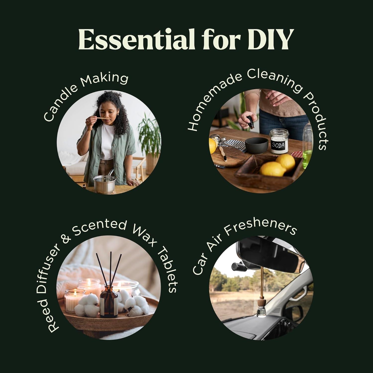 Essential Oils Set - Top 6 Blends for Diffusers, Home Care, Candle Making Scents, Fragrance, Aromatherapy, Humidifiers, Gifts - Peppermint, Tea Tree, Lavender, Eucalyptus, Lemongrass, Orange (10mL)