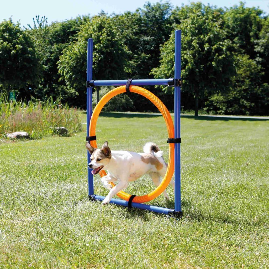 TRIXIE Dog Agility Ring, Portable Dog Hoop, Obstacle Course Equipment, Obedience Training