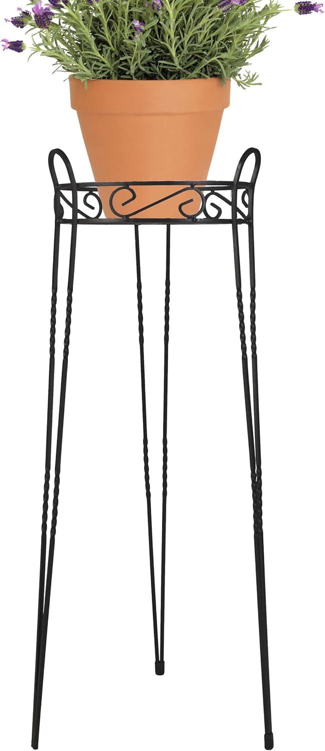 CobraCo SCBPS1030-B 30 in. Canterbury Scroll Top Plant Stand - Black