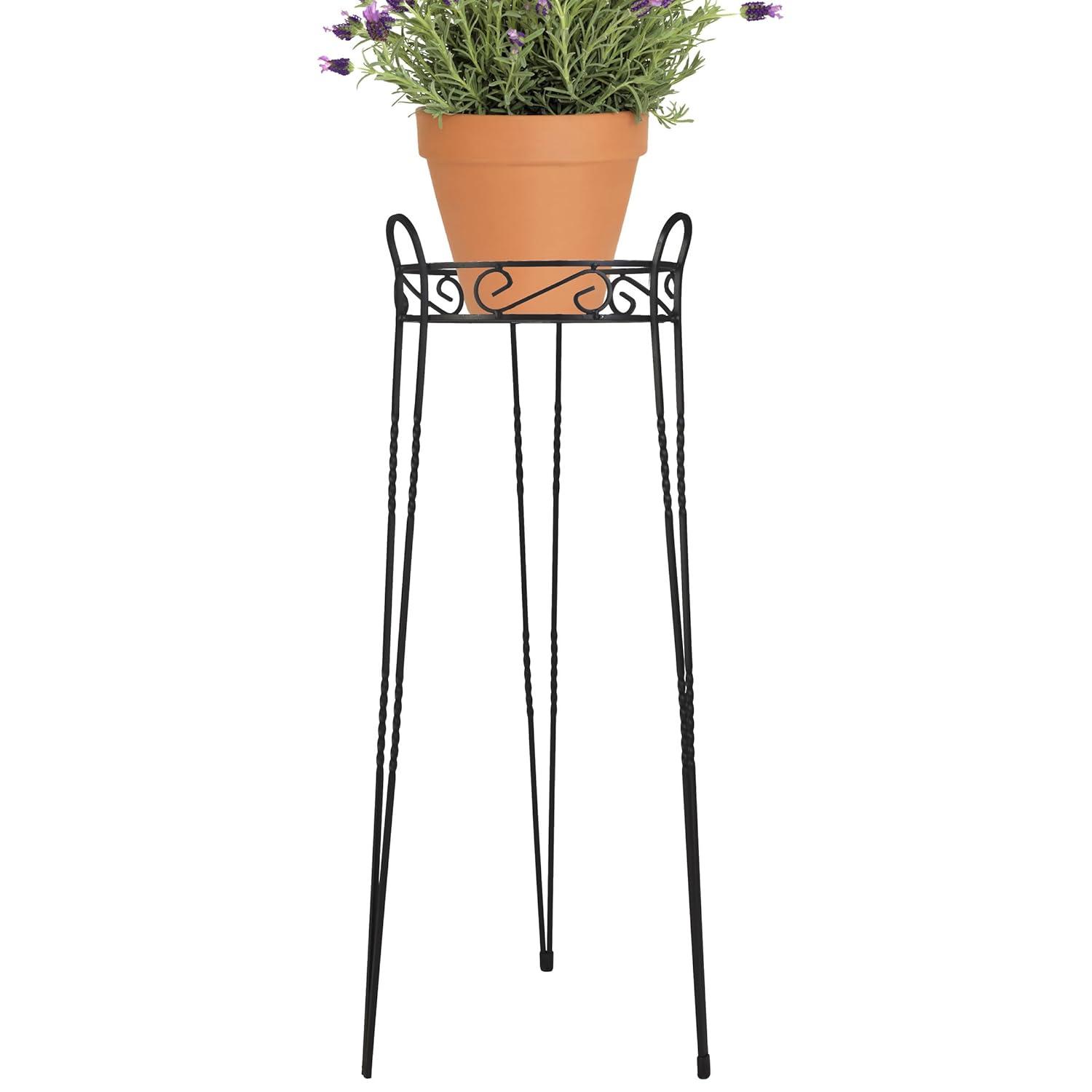 CobraCo SCBPS1030-B 30 in. Canterbury Scroll Top Plant Stand - Black