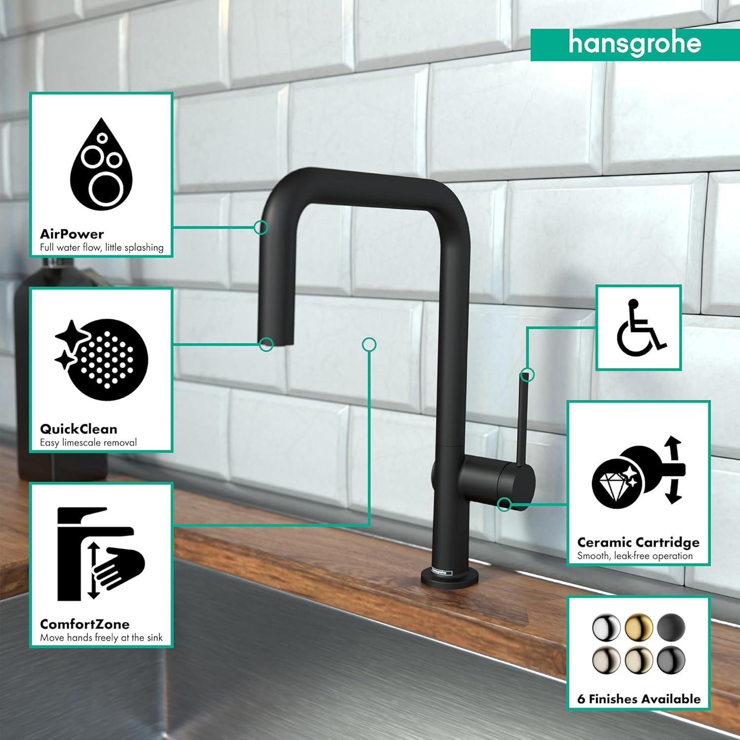 hansgrohe Talis N Kitchen Faucet, U-Style 1-Spray, 1.75 GPM