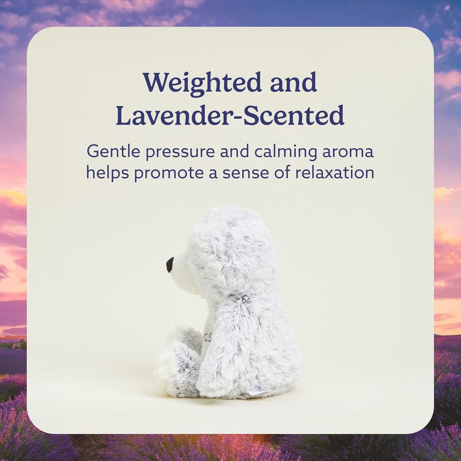 Intelex CP-FRND-BEA Friends Bear Warmies, 13-inch Length