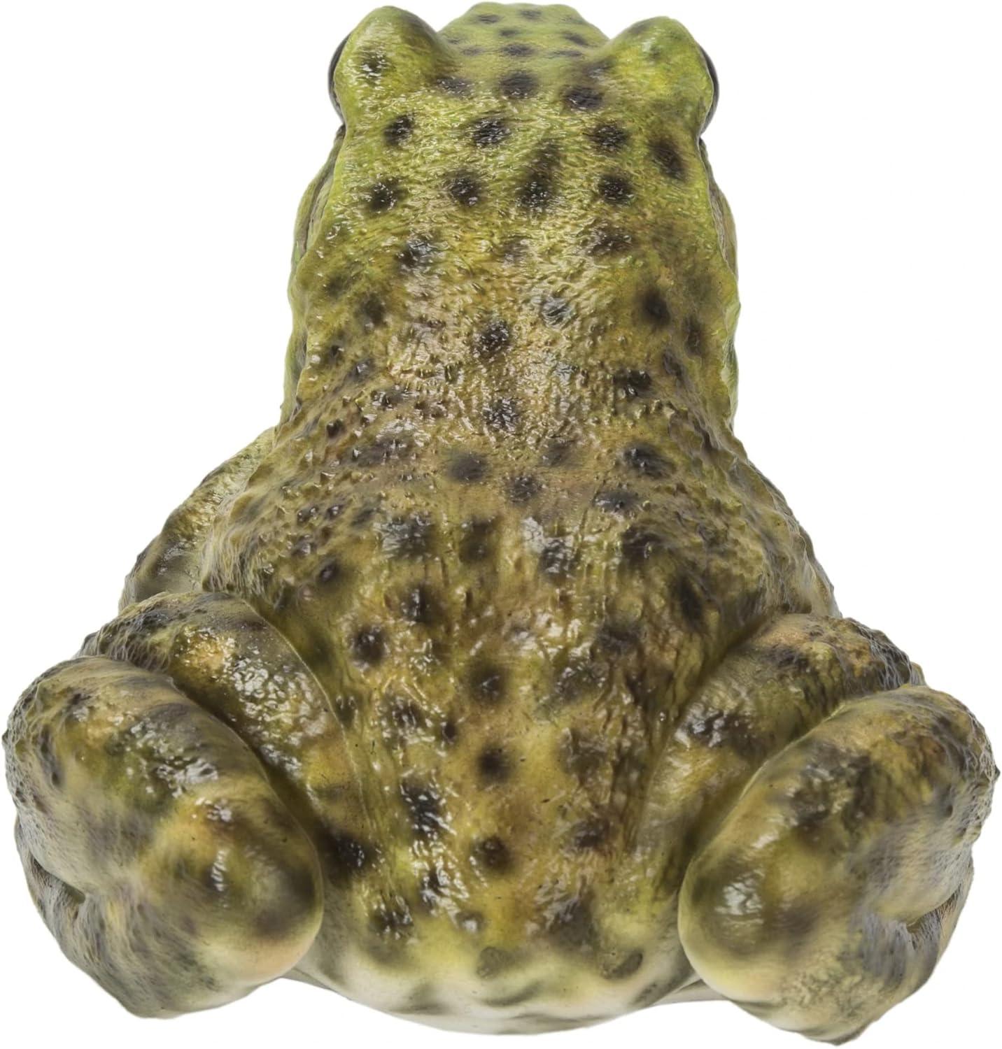 American Bullfrog