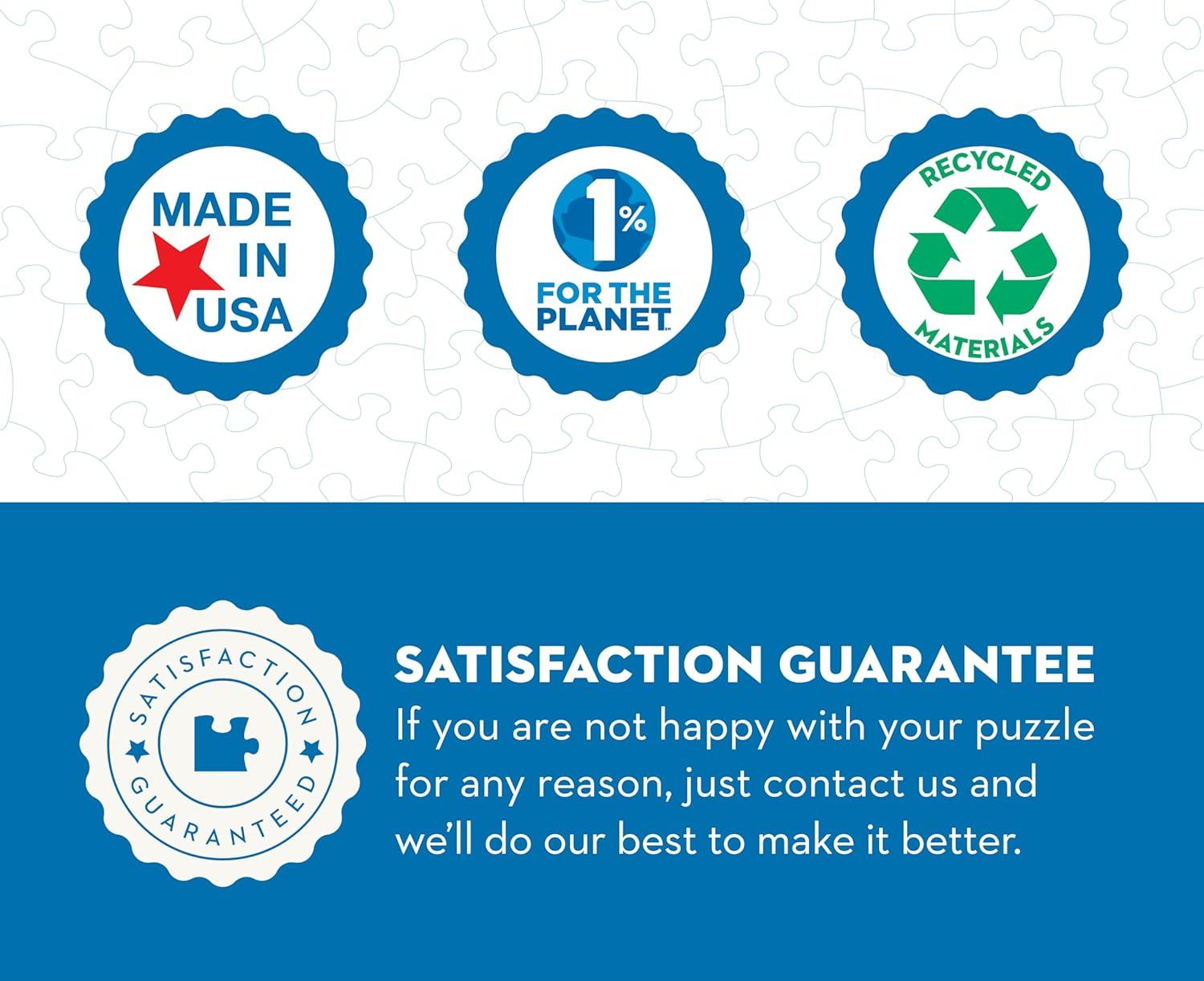 New York Puzzle Company View of the World 1000 Piece Puzzle