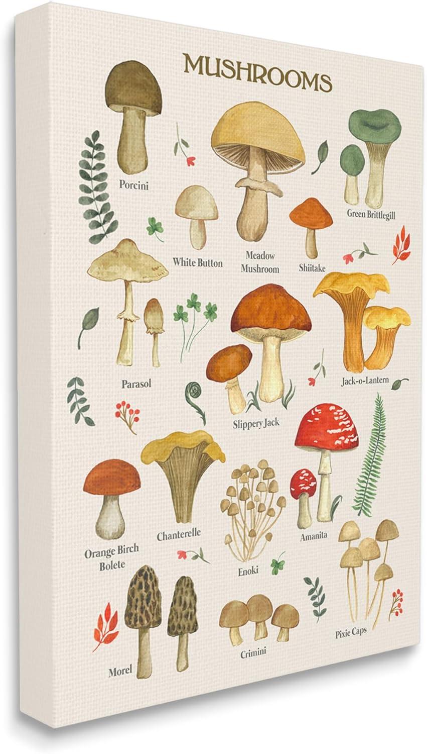 Stupell Industries Foraging Mushrooms Studies Botanical & Floral Painting Gallery Wrapped Canvas Print Wall Art, 16 x 20