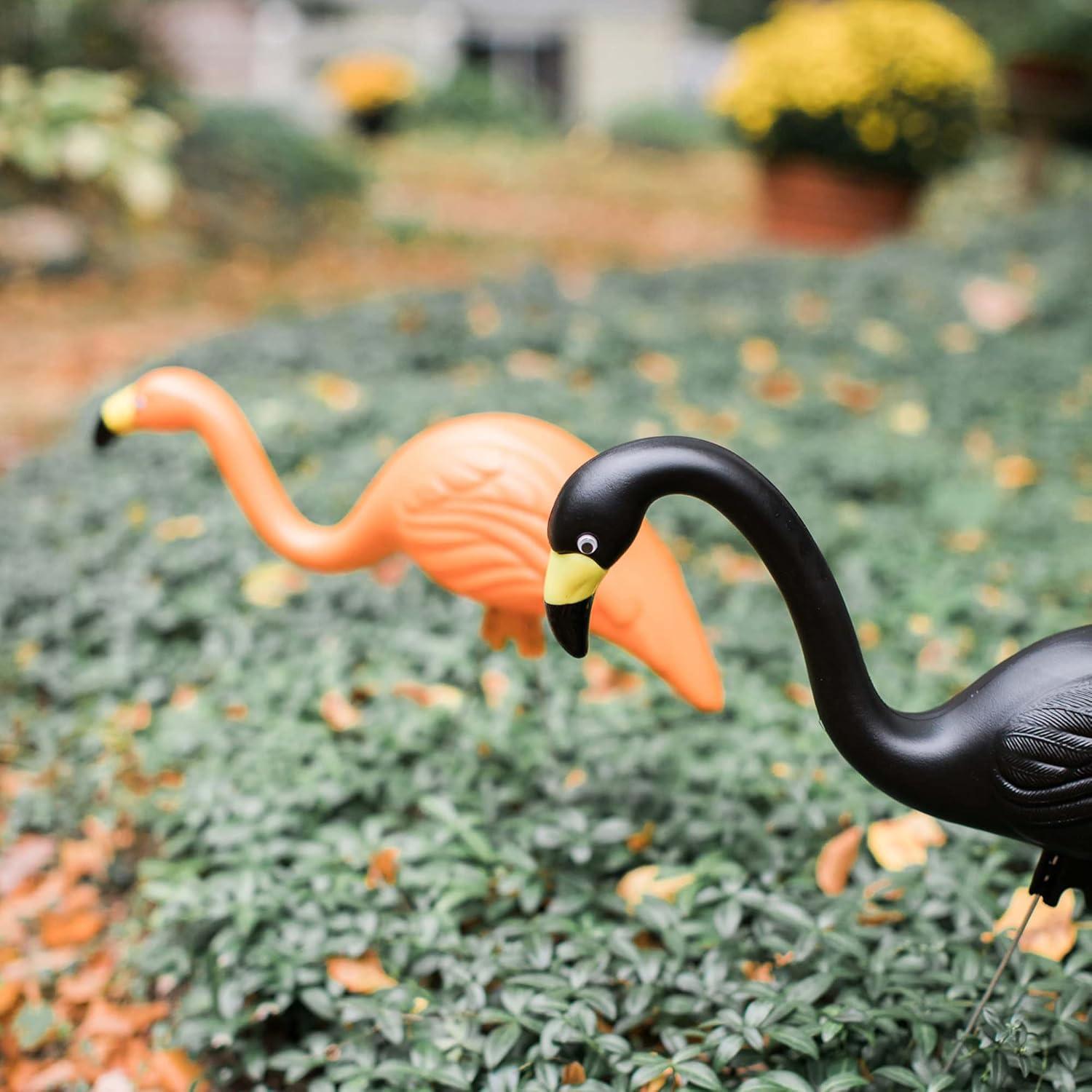Bloem Spooky Indoor/Outdoor Black and Orange Halloween Flamingo Yard Decorations with Metal Stakes