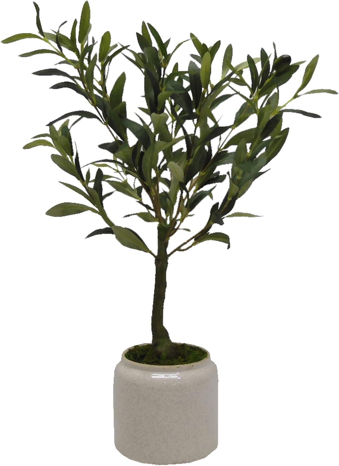 Elements 21.5 in. Artificial Olive Tree Plant in Pot