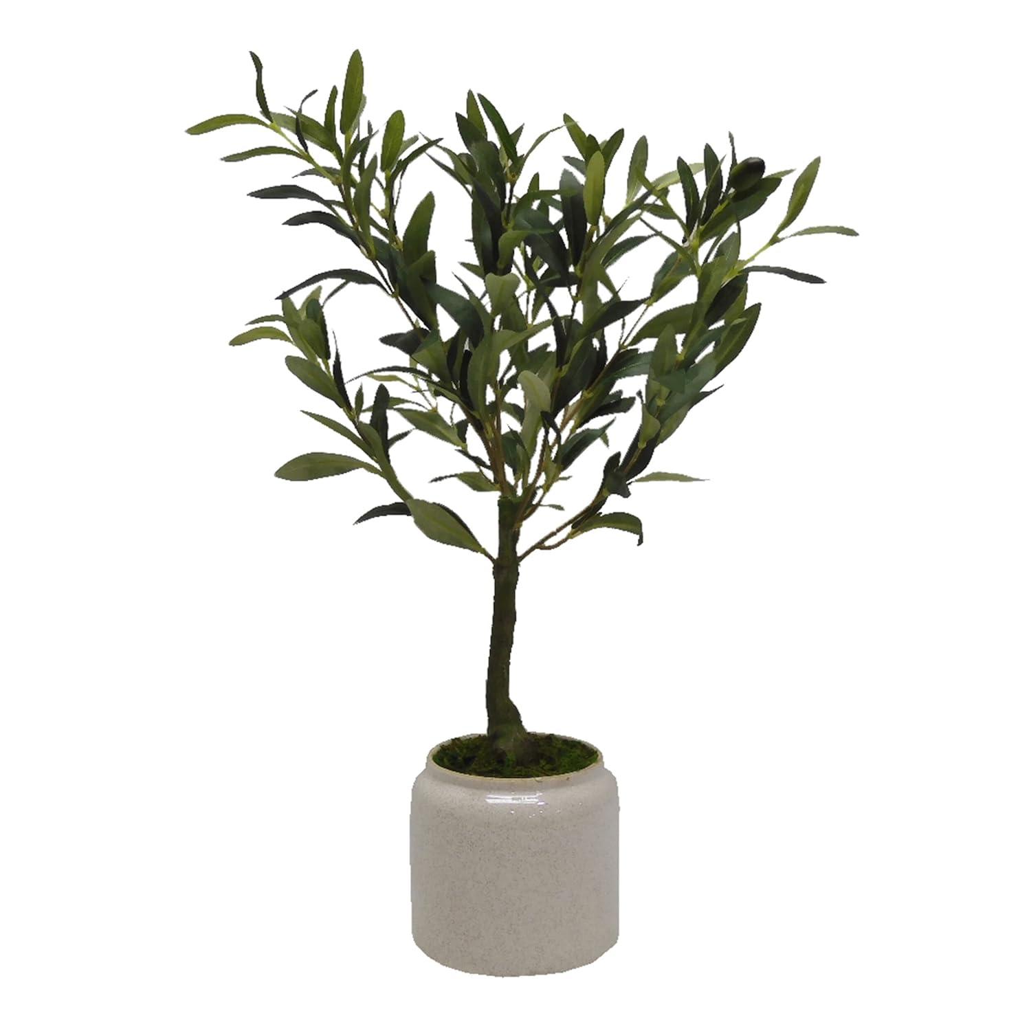 Elements Elements 21.5 in. Artificial Olive Tree Plant in Pot