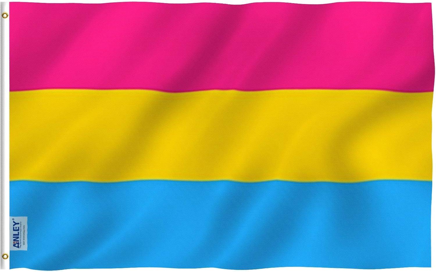 3x5 Foot Pansexual Pride Flag with Brass Grommets