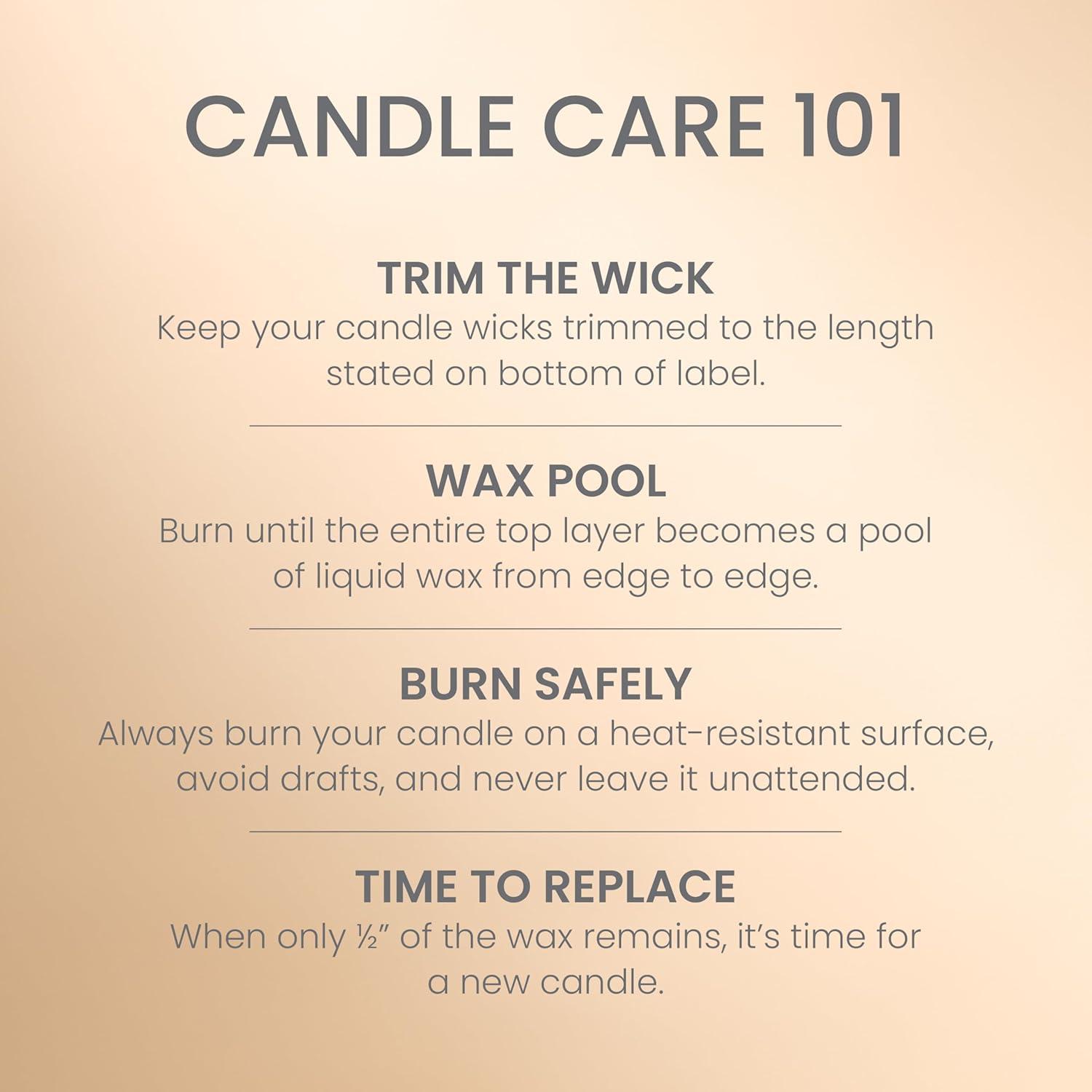 YANKEE CANDLE Signature Vanilla Crème Brulée Scented Candle