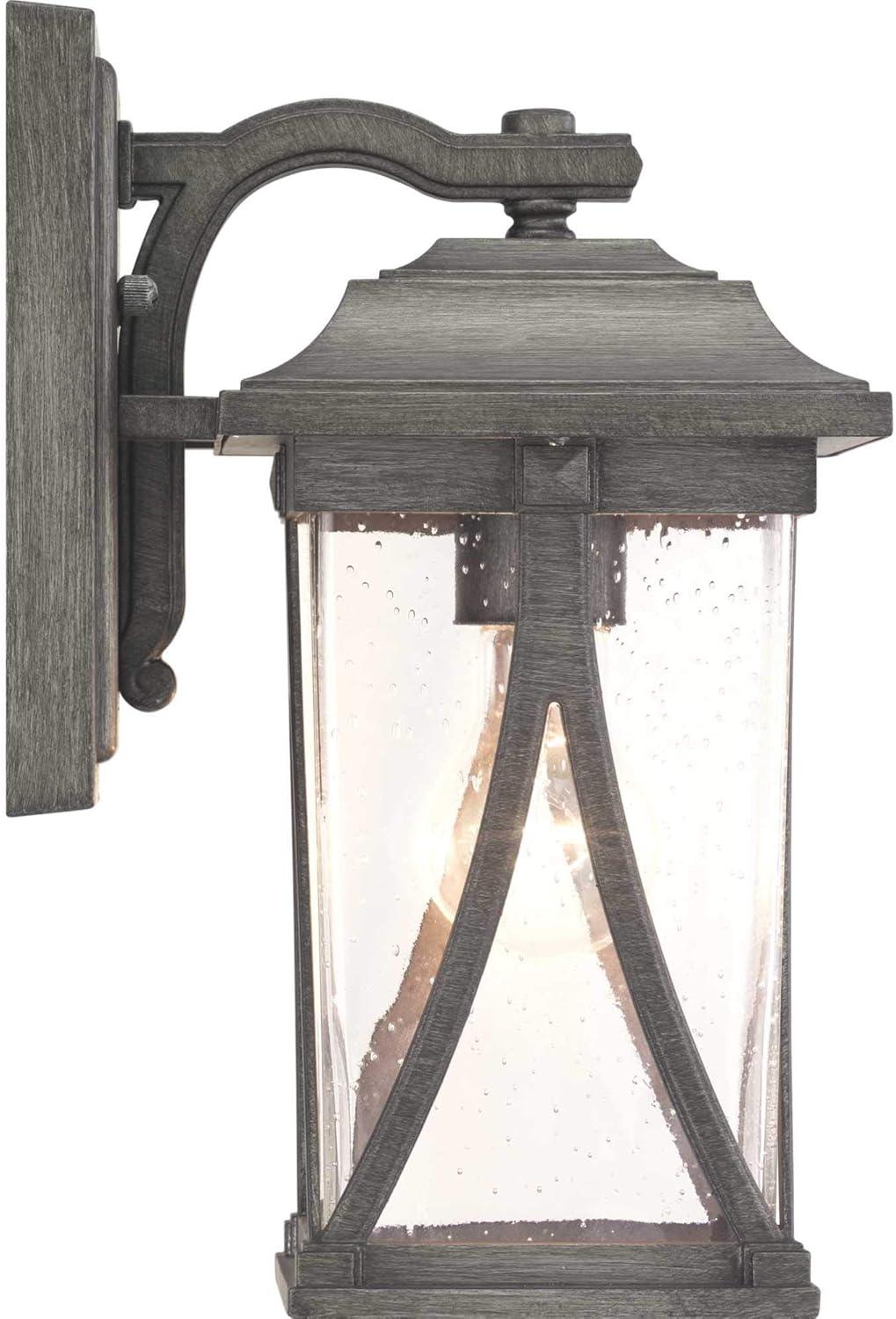 Progress Lighting Abbott 1-Light Outdoor Wall Lantern in Antique Pewter with Clear Seeded Glass Shade