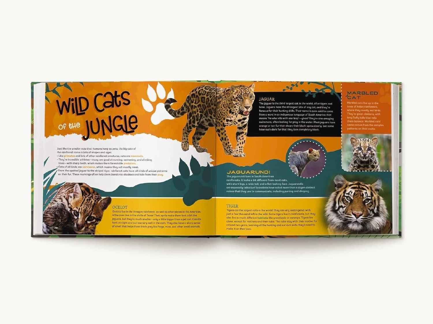 Your Bedroom is a Rainforest! Glow-in-the-Dark Animal Stickers Book