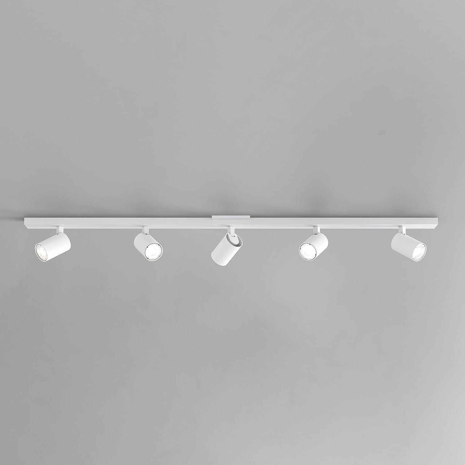 Contemporary Matt Nickel 2-Light Spotlight Ceiling Fixture