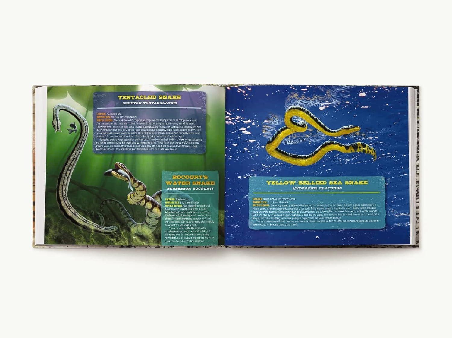 Discovering Reptiles - by  Thomas Nelson (Hardcover)