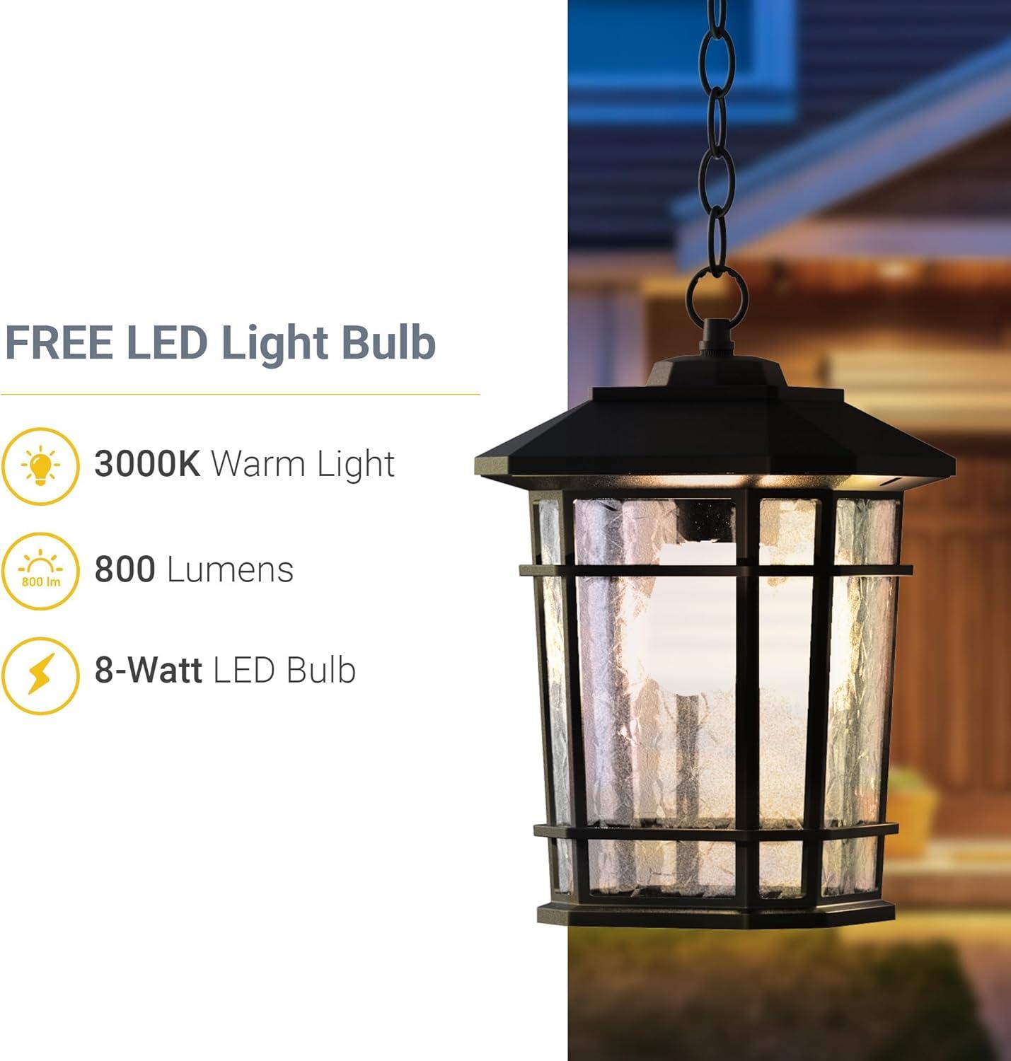 Williams 1- Light Black 14" H Glass Outdoor Hanging Lantern (Bulb Included)
