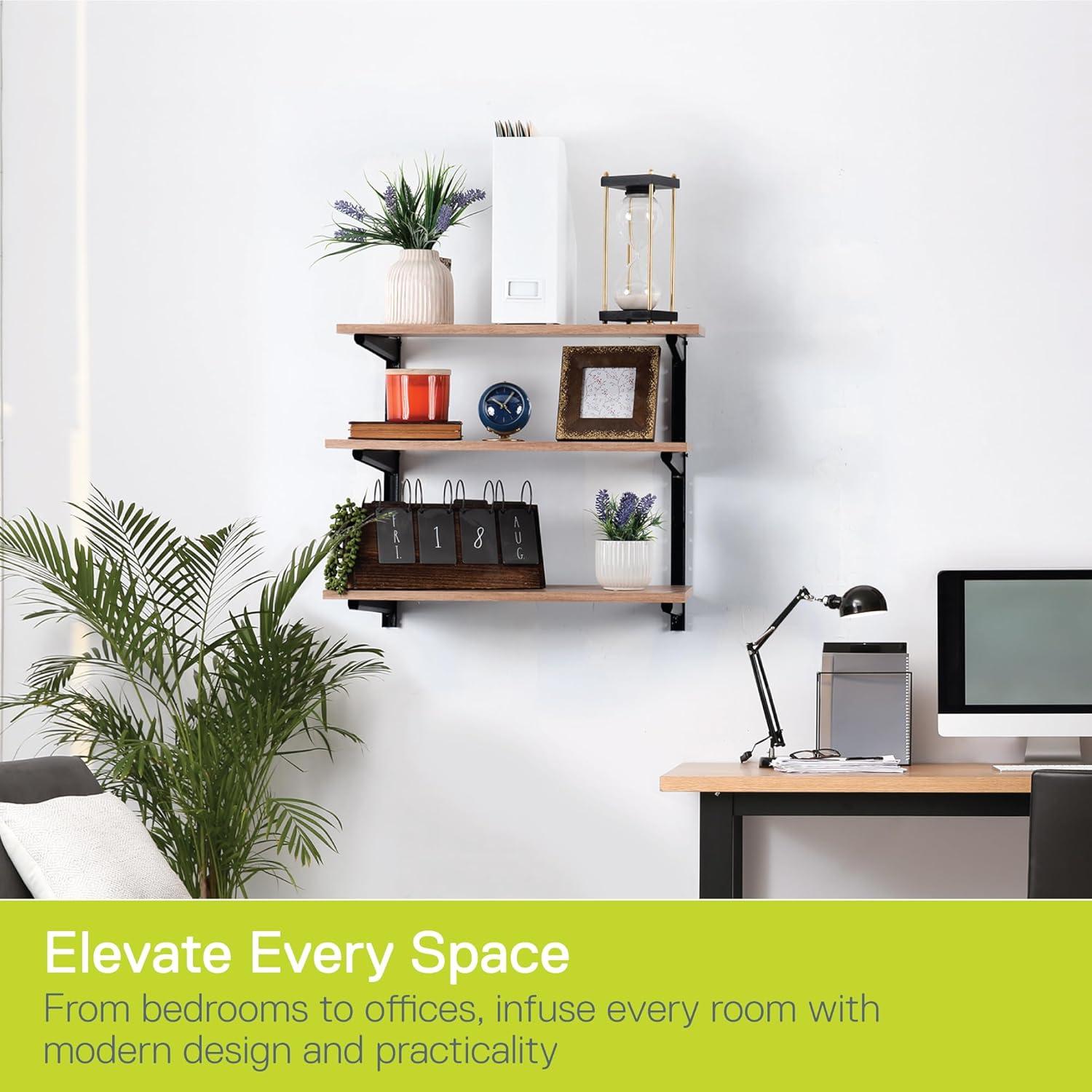 Minimalistic Black Shelf Brackets by Delta Cycle, Set of 6 Fully Adjustable 12-inch Heavy Duty Shelf Brackets, Holds Up to 480 lbs, Modern Shelf Bracket for Wood Shelves