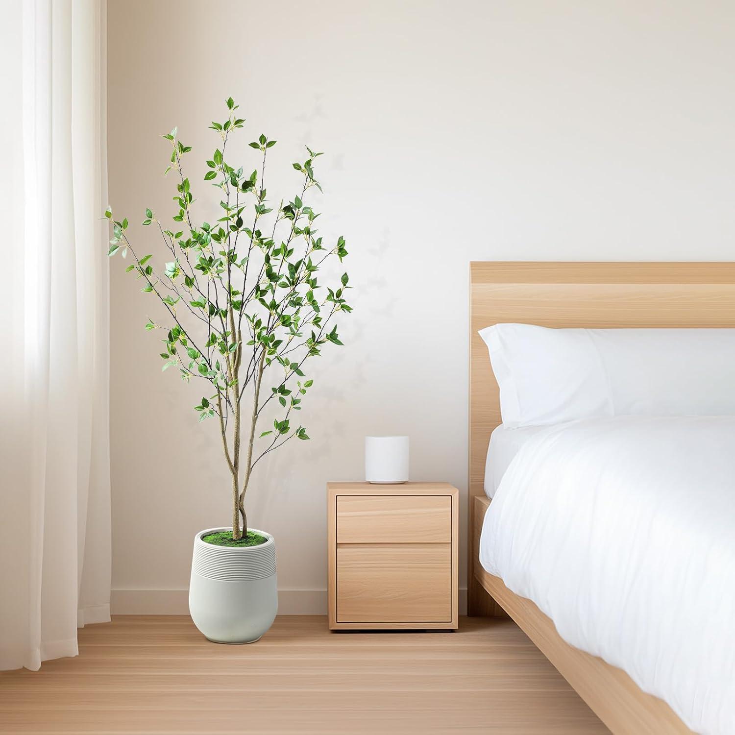 Faux Minimalist Citrus Tree 5'