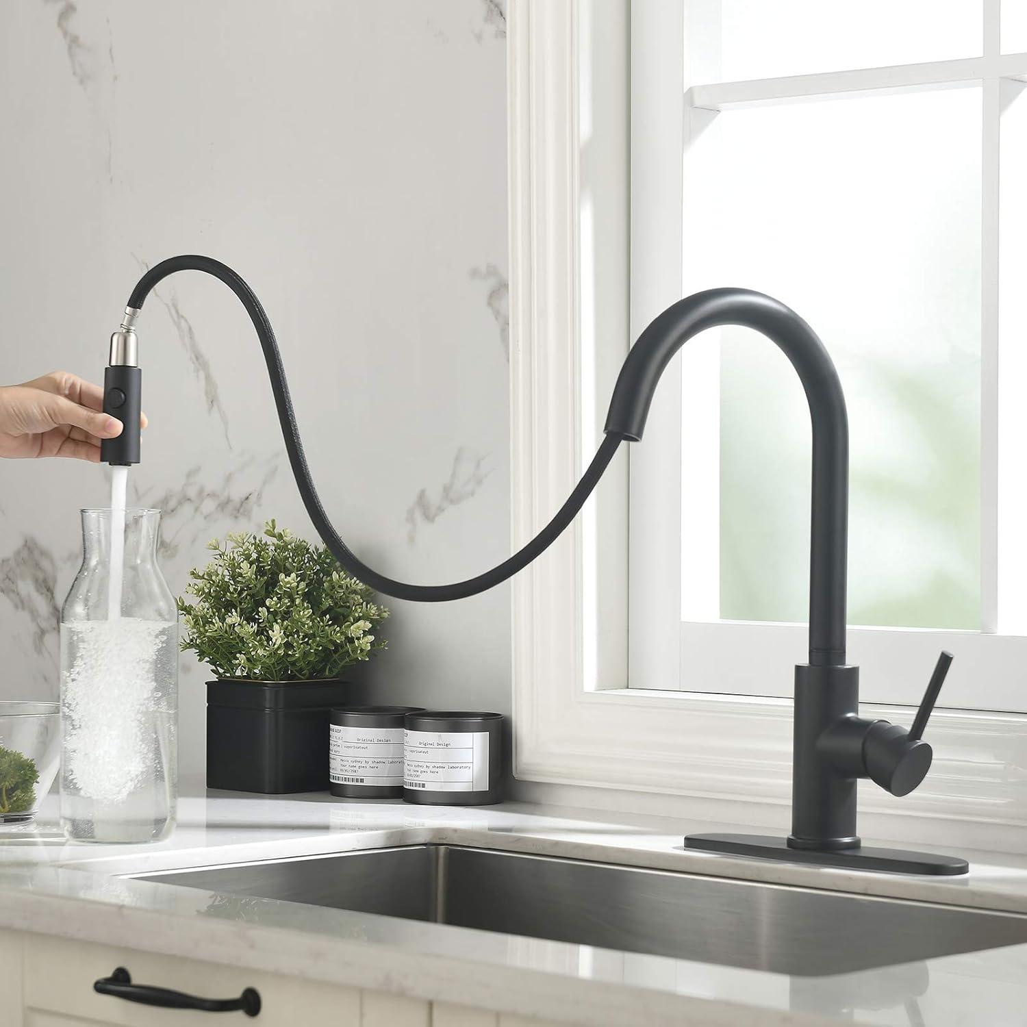 Matte Black Stainless Steel Pull-Down Kitchen Faucet