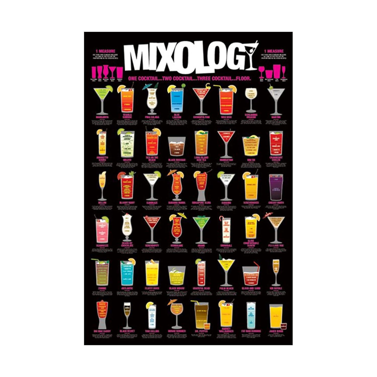 Mixology Laminated Poster (24 x 36)