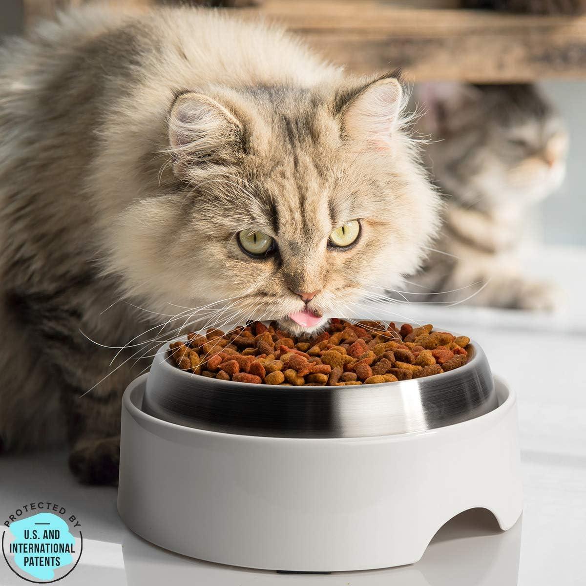 CatGuru Food Table for Cat Bowl, Marshmallow