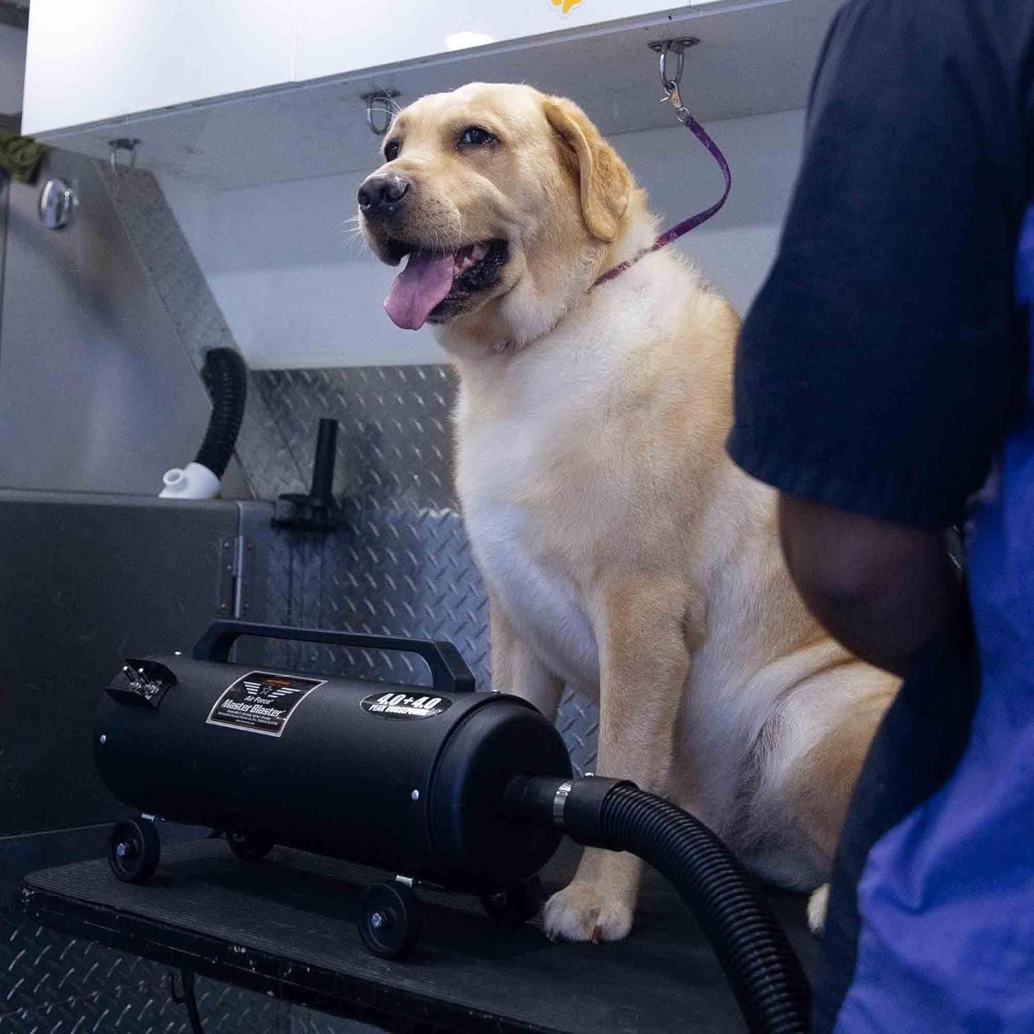 Black Steel Air Force Master Blaster Pet Dryer with Hose