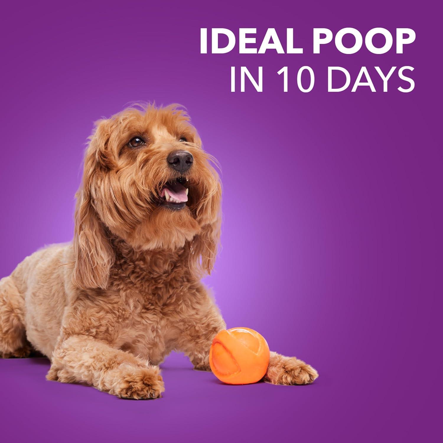 Iams Advanced Health Healthy Digestion Chicken And Whole Grain Recipe Dry Dog Food, 36 Lb Bag