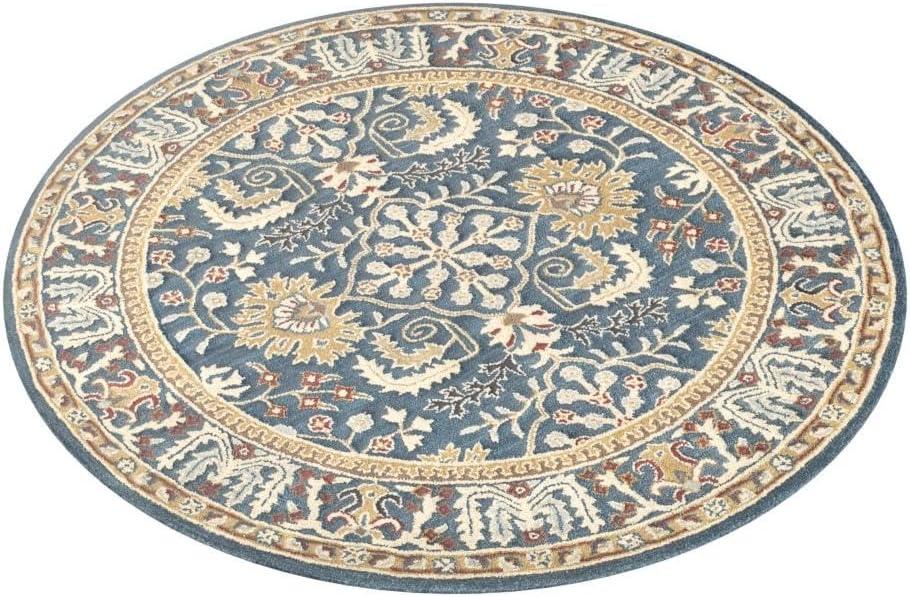 Antiquity AT64 Hand Tufted Area Rug  - Safavieh