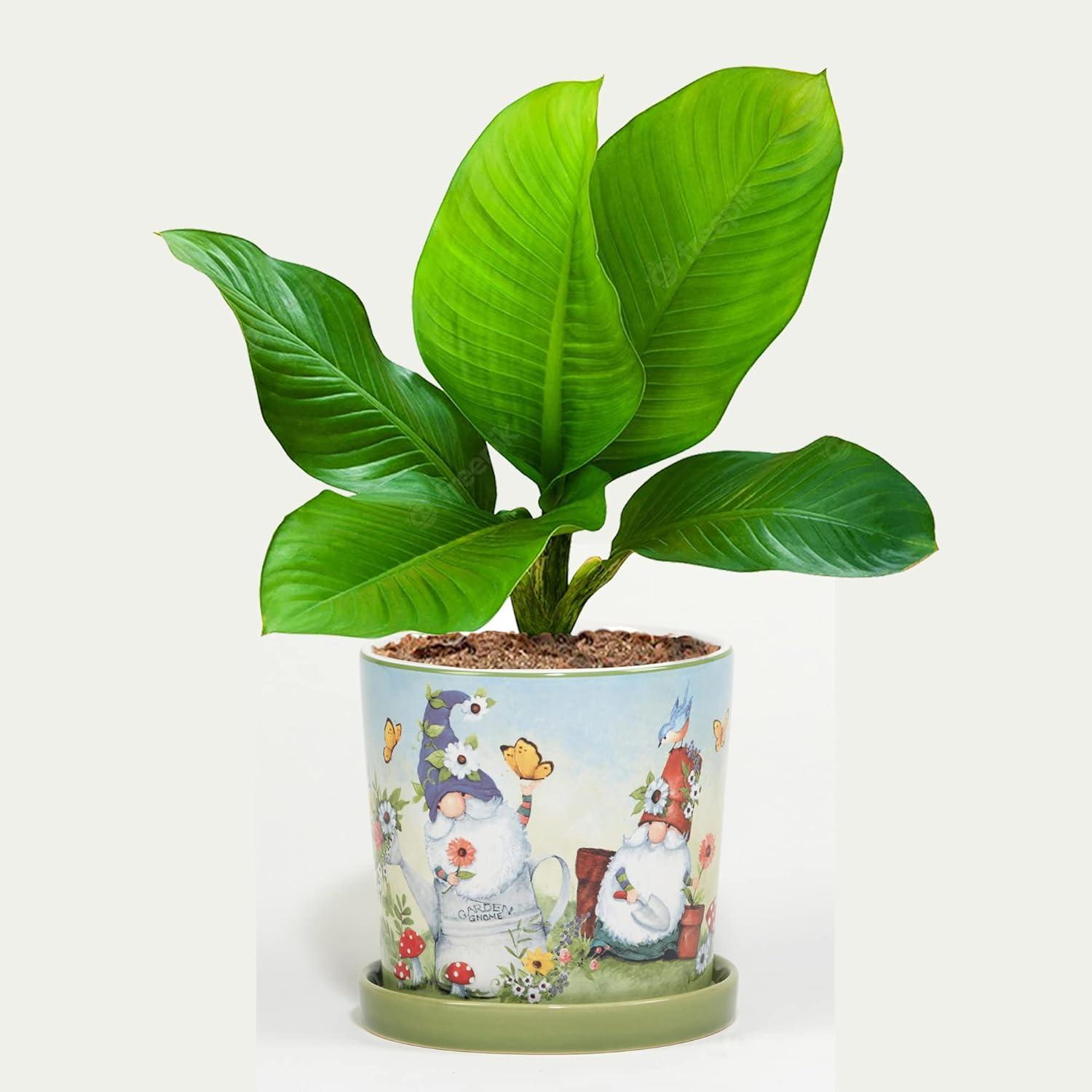 Certified International Garden Gnomes 2Pc Planter Set With Saucer